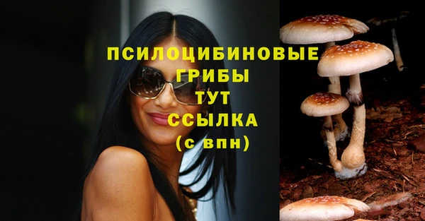 хмурый Бронницы