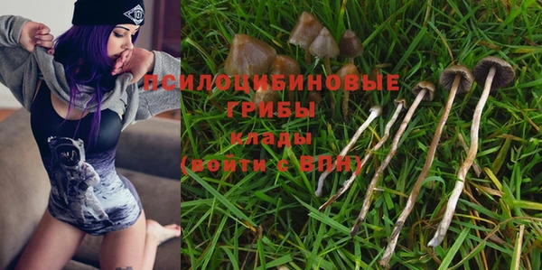 хмурый Бронницы