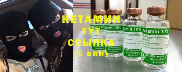 крисы Бородино