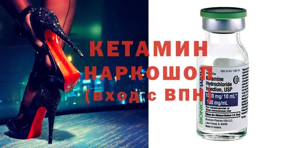 крисы Бородино