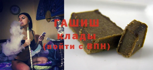 крисы Бородино