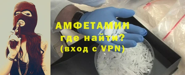 крисы Бородино