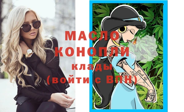 крисы Бородино