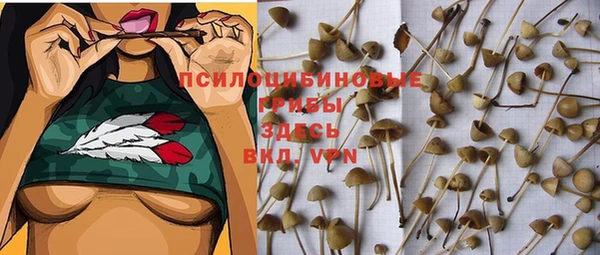 прущая мука Волоколамск