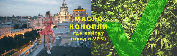 крисы Бородино