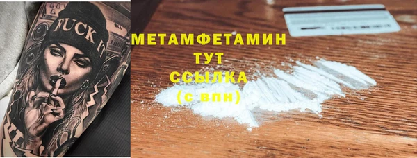 крисы Бородино