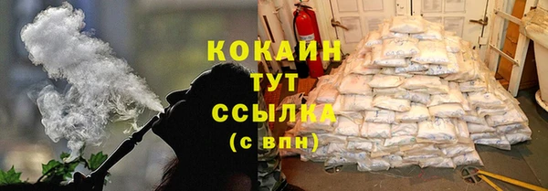 крисы Бородино