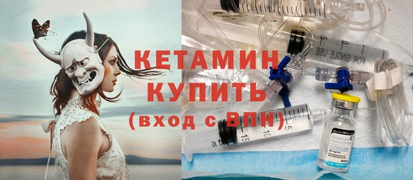 крисы Бородино