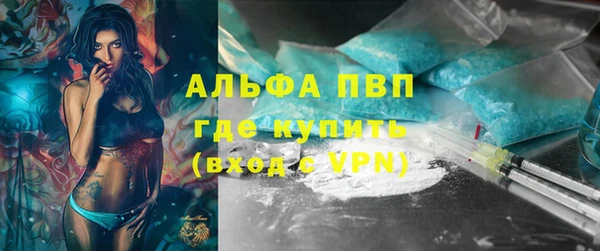 крисы Бородино