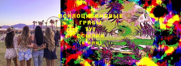 хмурый Бронницы