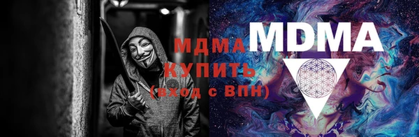 крисы Бородино